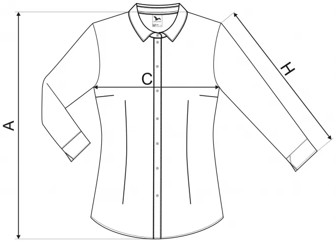 Dāmu blūze ar garām piedurknēm - izmēru tabula